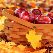 Схема вышивки «№1610021»