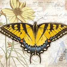 Схема вышивки «бабочки 7»