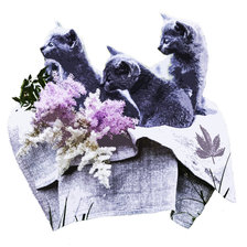 Схема вышивки «котята»