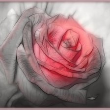 Схема вышивки «№1610295»