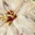 Предпросмотр схемы вышивки «№1610635»