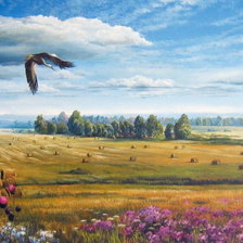 Схема вышивки «Русское поле»