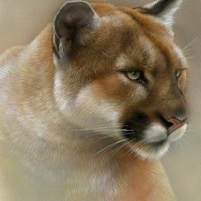 Схема вышивки «№1610846»