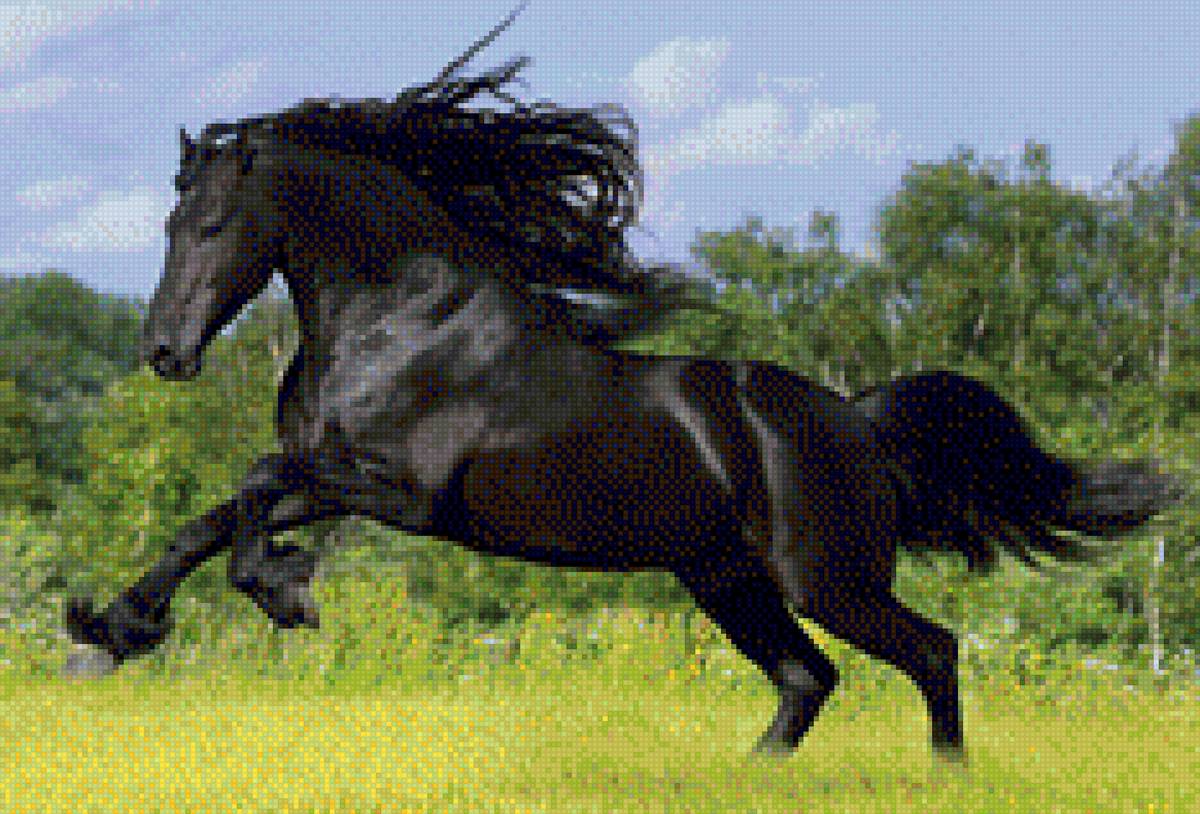 Cavalo Lusitano - portugal - предпросмотр