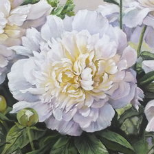 Схема вышивки «пионы»