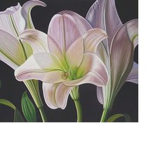 Схема вышивки «№1611533»