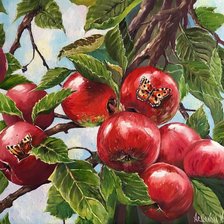 Схема вышивки «Яблоки»