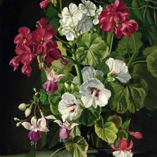 Схема вышивки «герань»