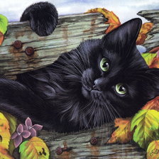 Схема вышивки «кот»