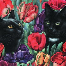 Схема вышивки «кот»