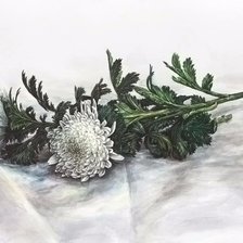 Схема вышивки «№1611845»