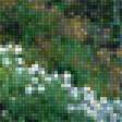 Предпросмотр схемы вышивки «Райский уголок» (№1611848)