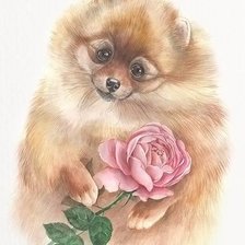 Схема вышивки «№1611864»