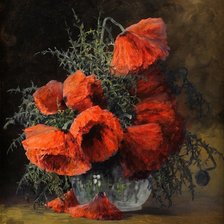 Схема вышивки «маки»