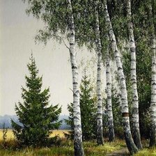 лесная тропинка