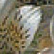 Предпросмотр схемы вышивки «букет и бабочки» (№1612112)
