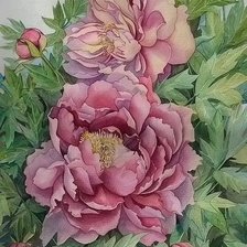 Схема вышивки «№1612215»