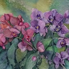 Схема вышивки «№1612216»