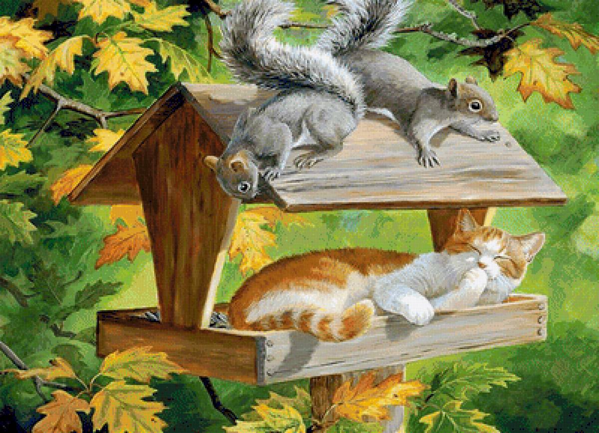 Кот и белки - животные - предпросмотр