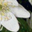 Предпросмотр схемы вышивки «№1612266»