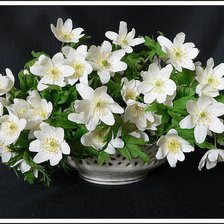 Схема вышивки «№1612266»