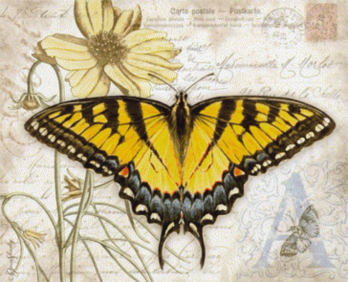 бабочки 4 - бабочки - предпросмотр