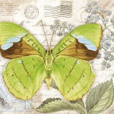 Схема вышивки «бабочки 5»