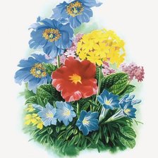 Схема вышивки «№1612543»