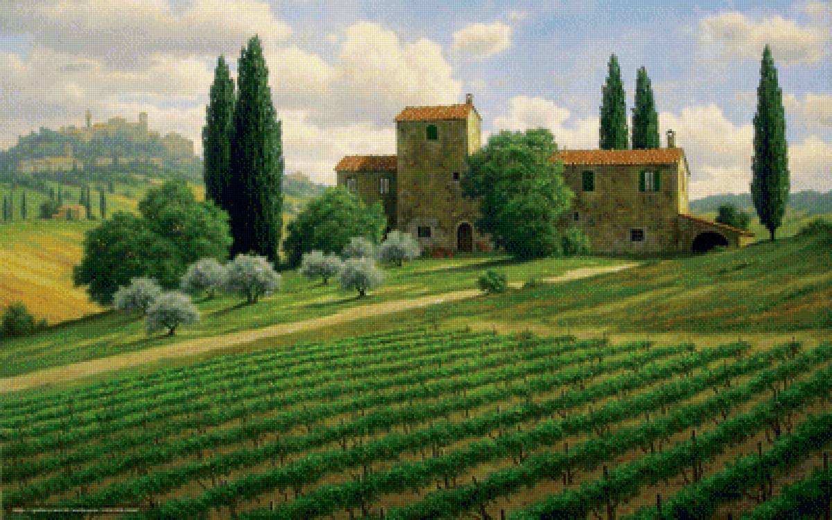 Холмы Тосканы - оливы, дом, виноградники, поля - предпросмотр