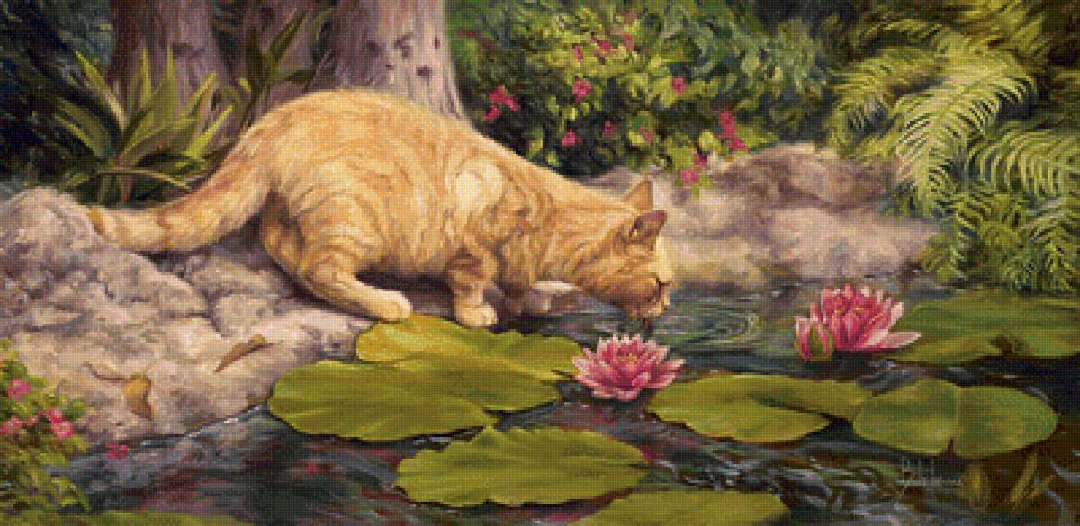 Рыженький котик - животные, природа, водоем, папоротник, лилии - предпросмотр