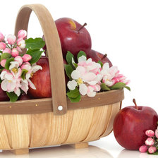 Схема вышивки «98563»