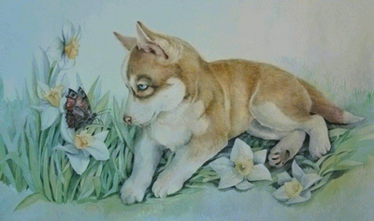 Собака - животные - предпросмотр