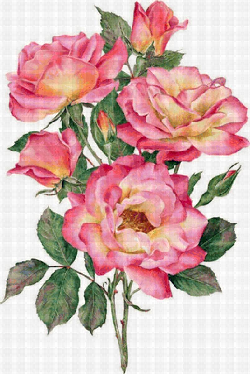 №1613024 - предпросмотр