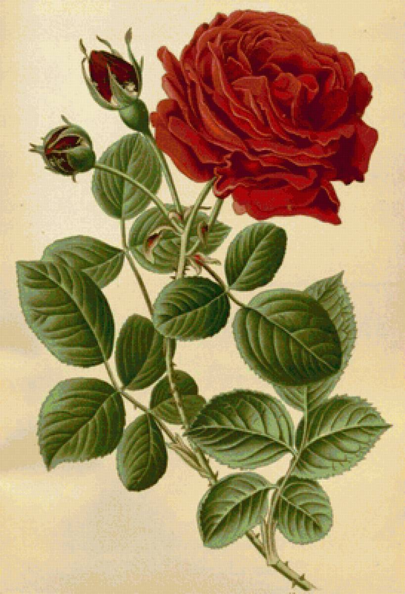 №1613027 - предпросмотр