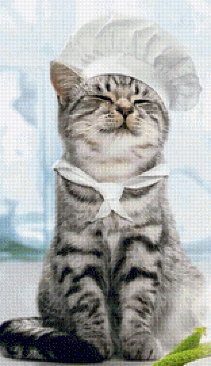 Поваренок - животные, кошки - предпросмотр