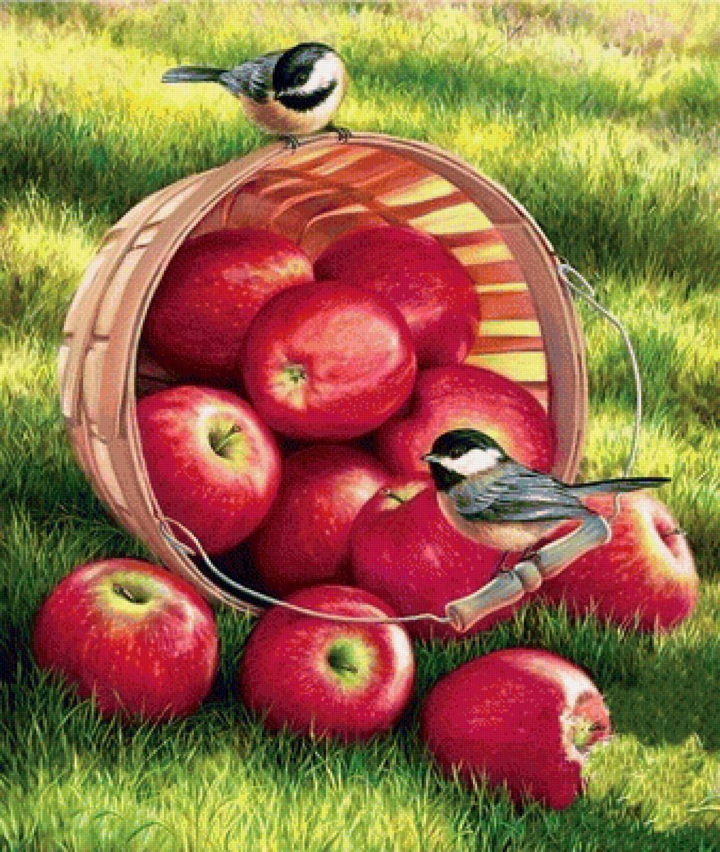 Красные яблоки - трава, птицы, корзина, яблоки - предпросмотр