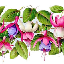 Схема вышивки «№1613312»