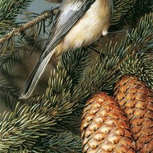 Схема вышивки «Птички на елке»