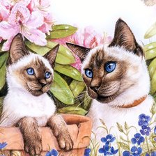 Схема вышивки «Кошки»