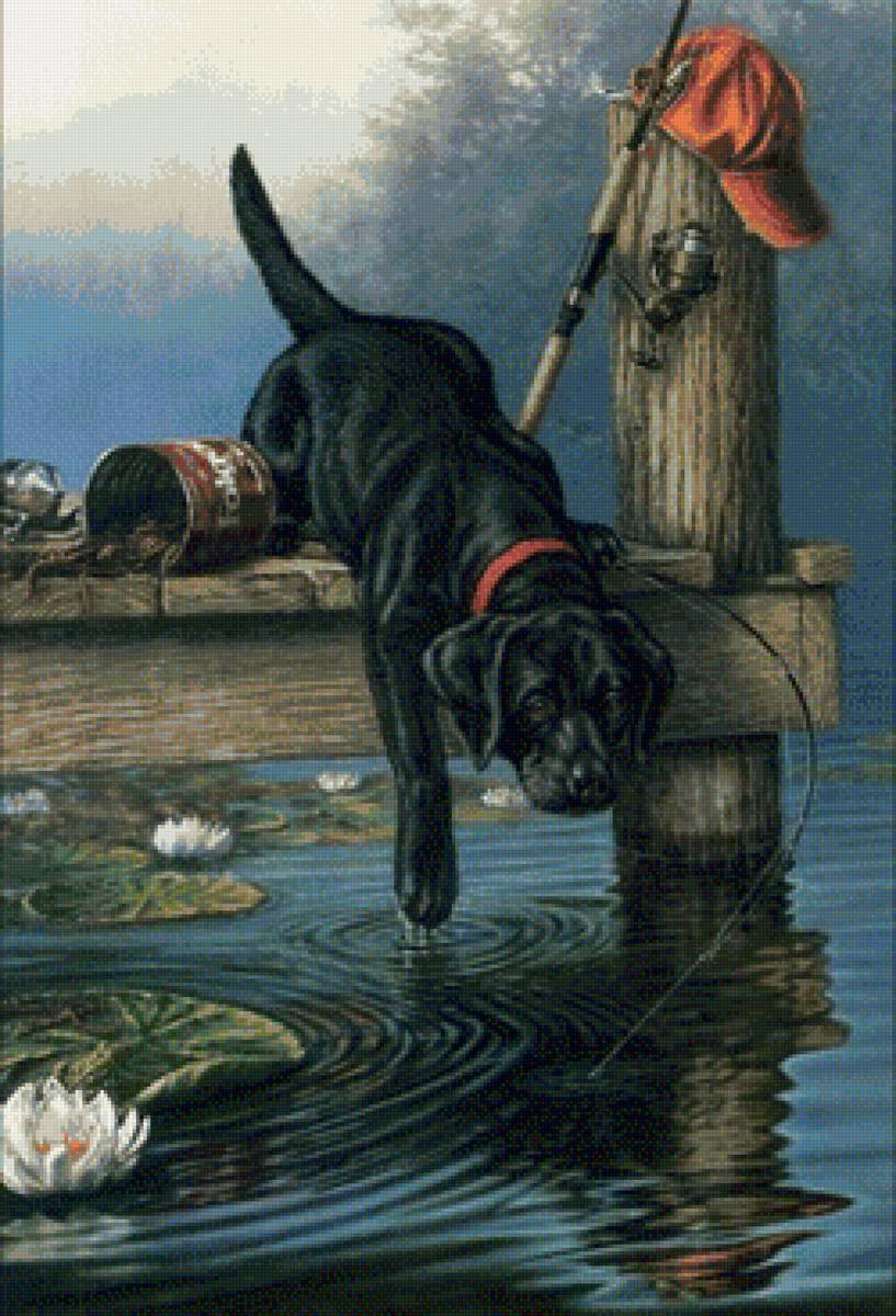 Пес и кепка - предпросмотр