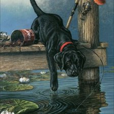 Пес и кепка