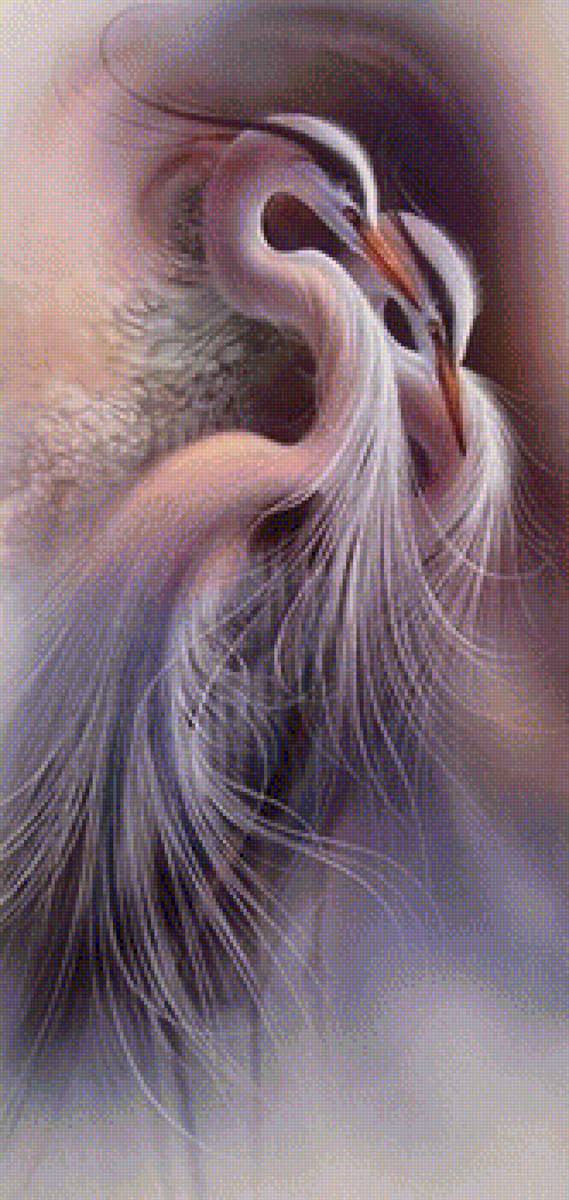 żurawie - предпросмотр