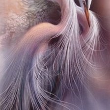 Схема вышивки «żurawie»