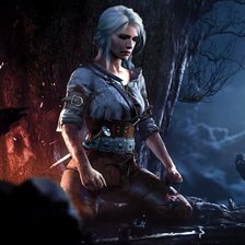 Схема вышивки «Цири»