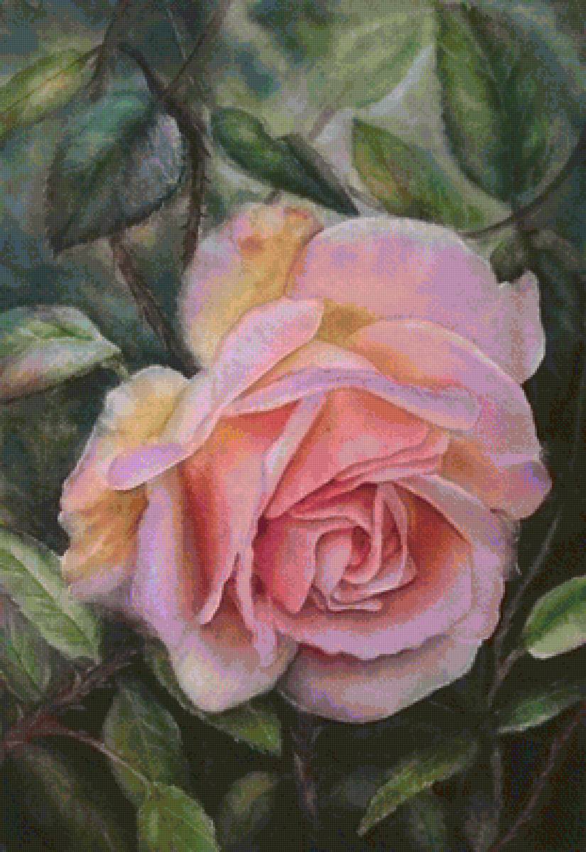 №1614397 - предпросмотр