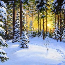 Схема вышивки «зима»