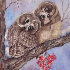 Схема вышивки «Совы»