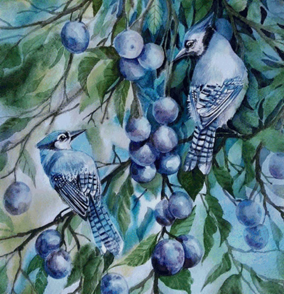 Птицы - животные - предпросмотр