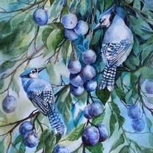 Схема вышивки «Птицы»