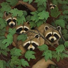 Схема вышивки «Еноты»